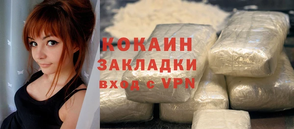 амф Няндома