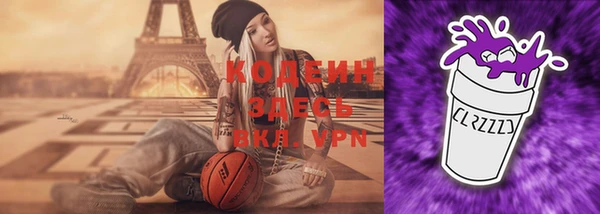 индика Кропоткин