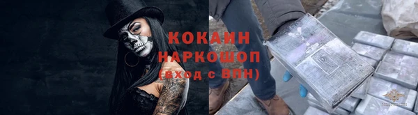 амф Няндома