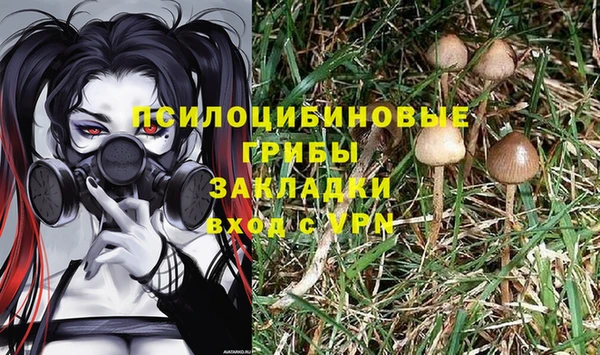 амф Няндома