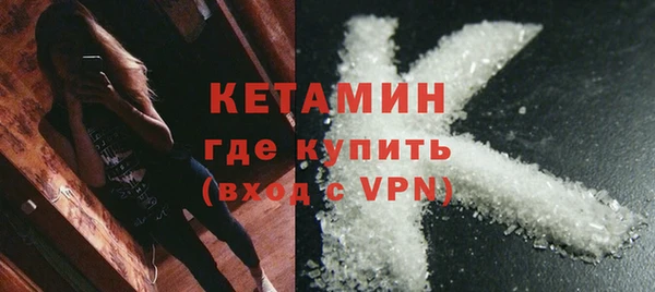 индика Кропоткин