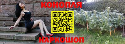 шишки Азнакаево