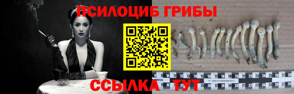 Людиново  Галлюциногенные грибы мухоморы  Вход с VPN 